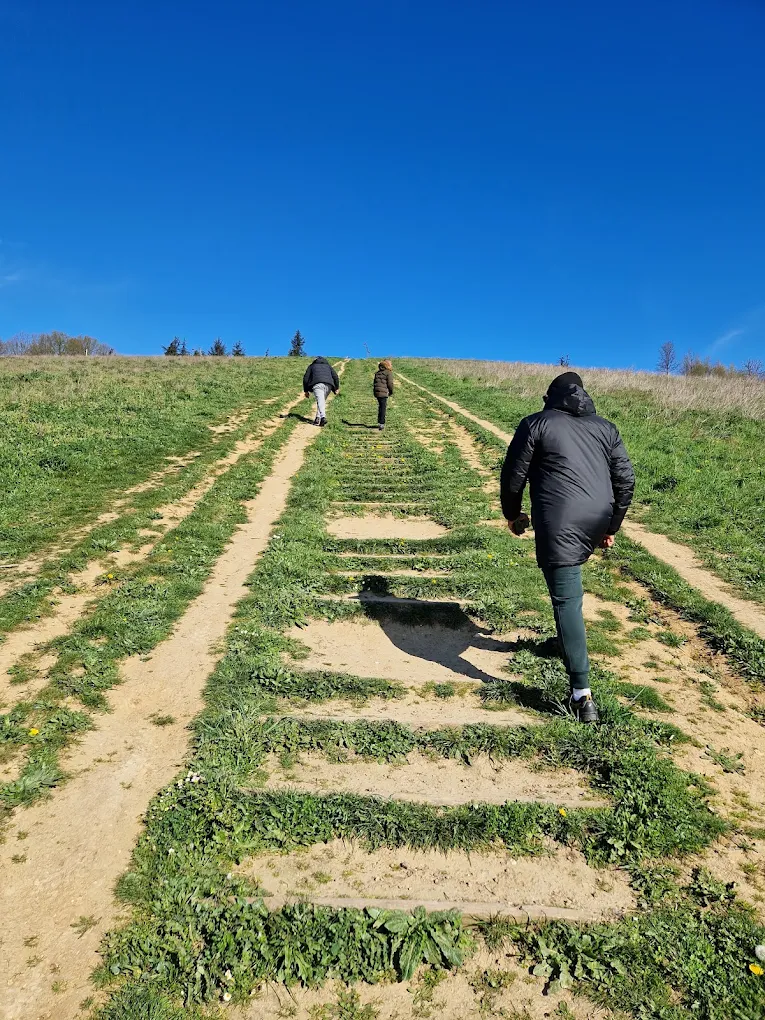 Jeunes et accompagnants gravissant une colline lors d'une randonnée sous un ciel bleu